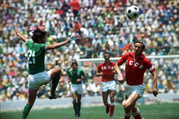 以狼队目前 以狼队目前